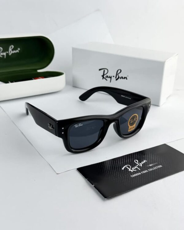 Unisex model sunglasses (RB)