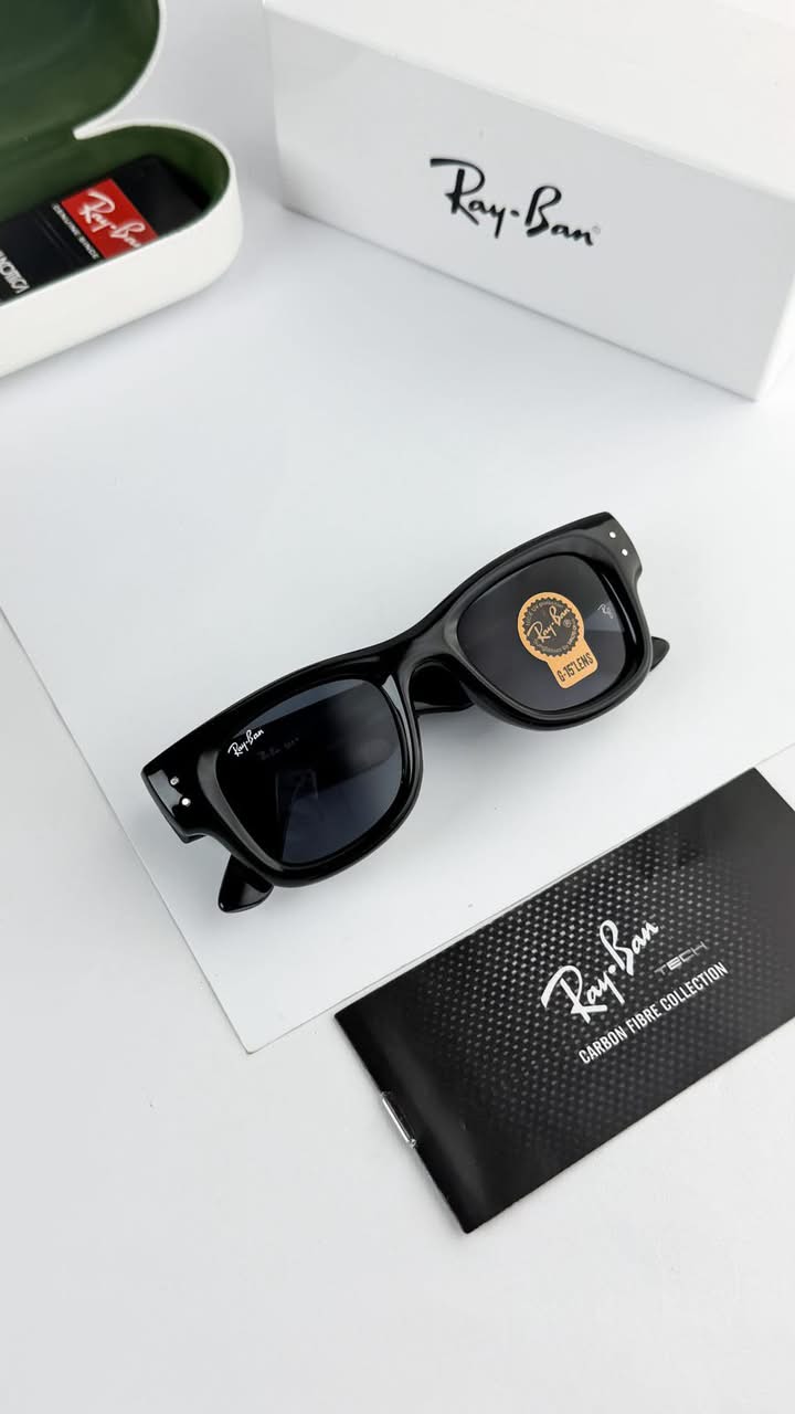 Unisex model sunglasses (RB)