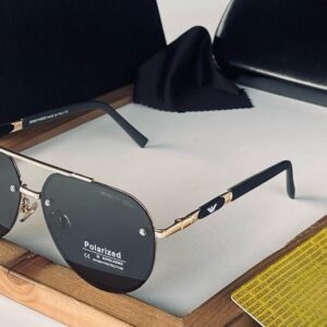 Polarized sunglasses (AR)