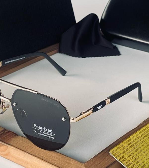 Polarized sunglasses (AR)