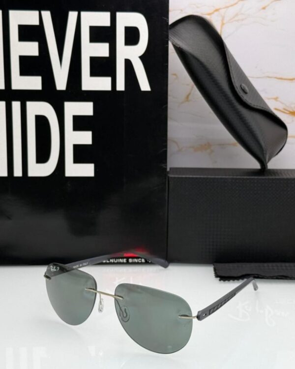 Unisex model sunglasses (RB)
