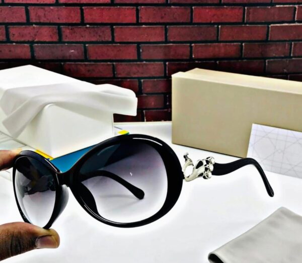 Sunglass  Ladies Model (DR) - Image 4