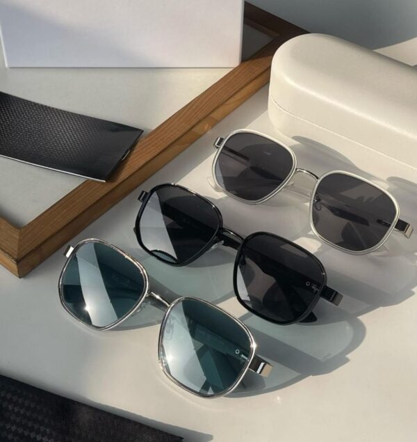 Sunglasses (RB)