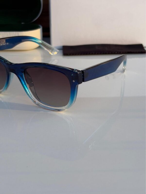 Sunglasses (RB)